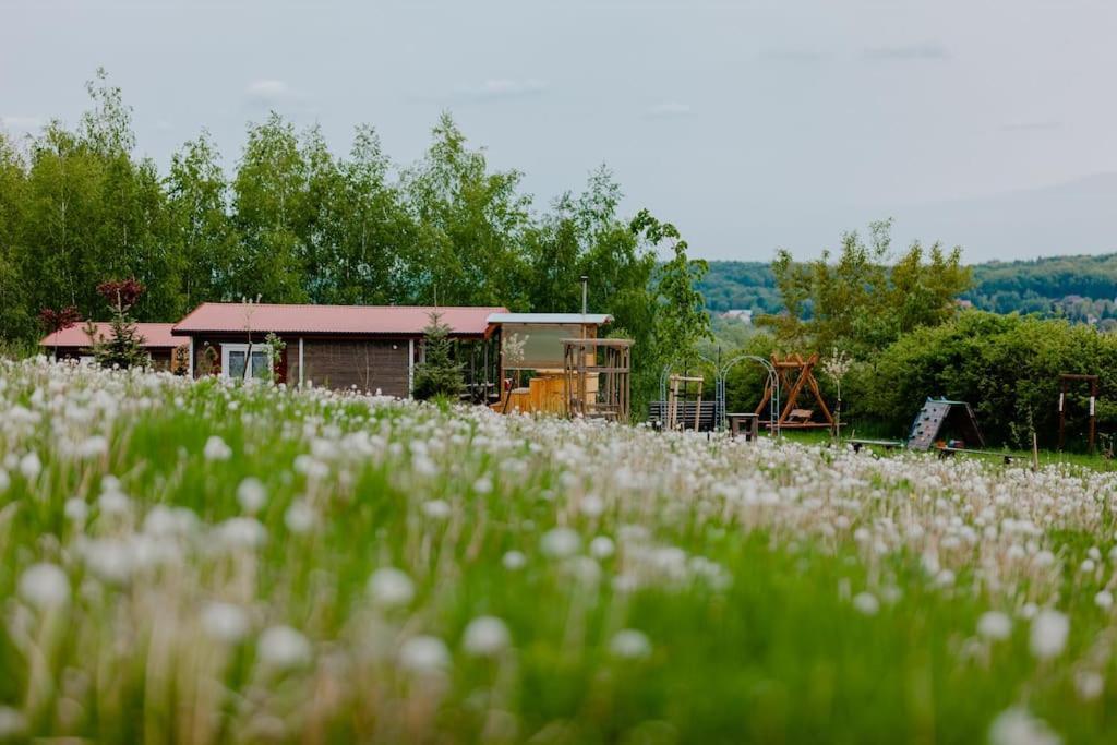 Domki Na Gorniej Lace - Domek Slowik Lazany Exteriör bild