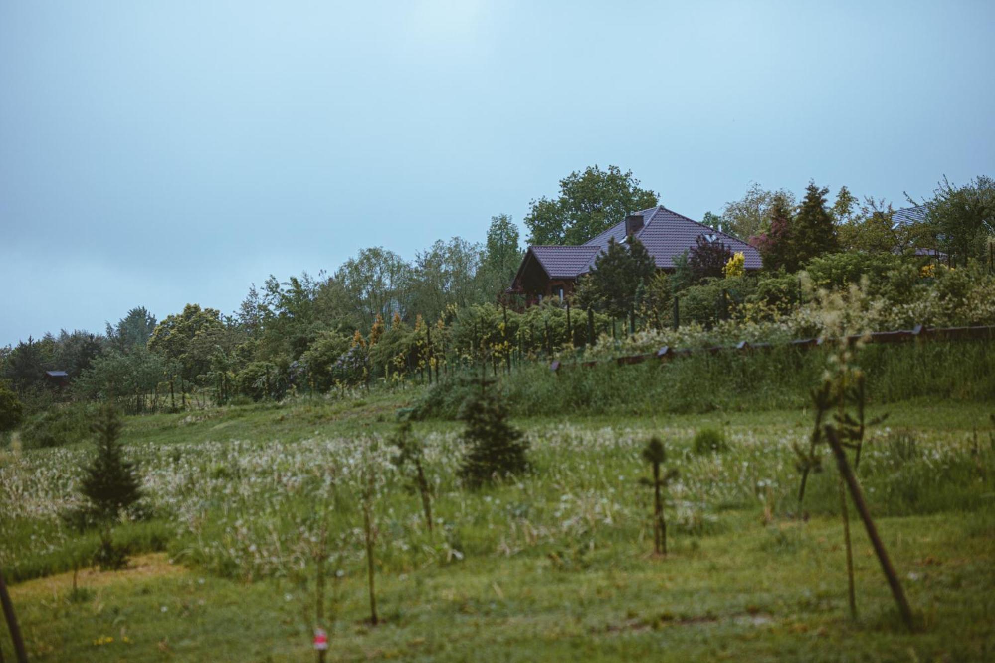 Domki Na Gorniej Lace - Domek Slowik Lazany Exteriör bild
